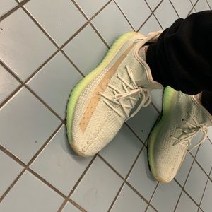 Meet your Posher, Joey